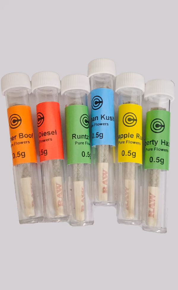 Dogwalker Cones - 0.5 Prerolls image