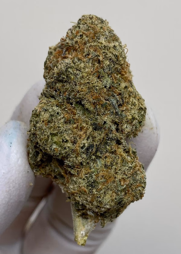 Sunset Skittles 🌈 🌅