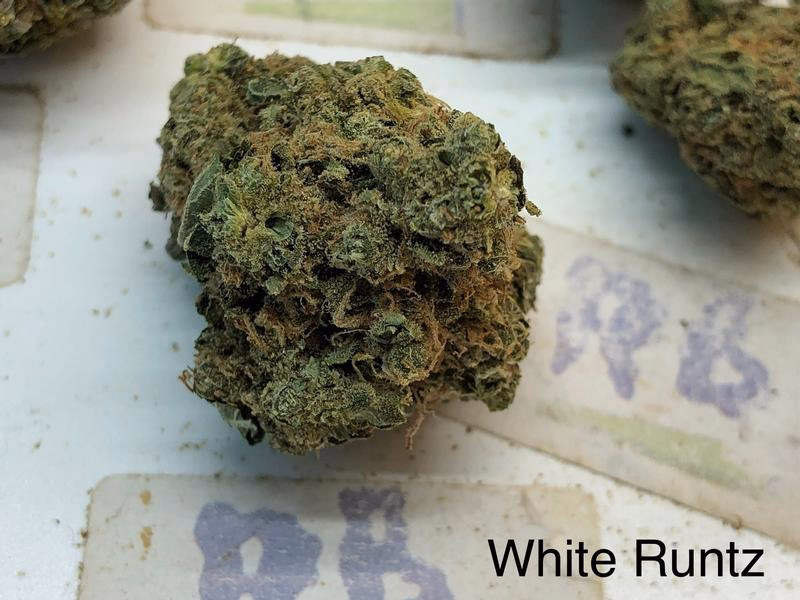 White Runtz UK 2