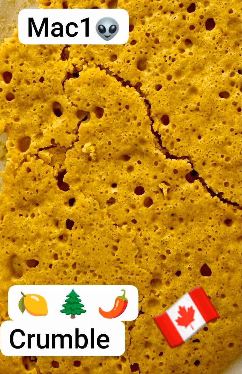 Canada BHO