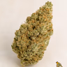 KING GELATO - TOPSHELF £140 AN OUNCE
