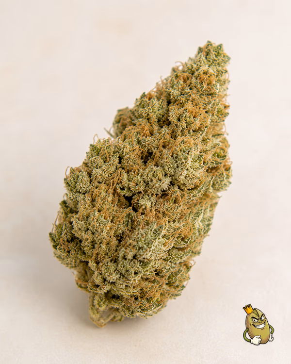 KING GELATO - TOPSHELF £140 AN OUNCE — Flower