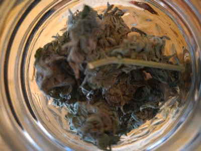 CALI TRIM SHAKE TROPICALLY NERDS