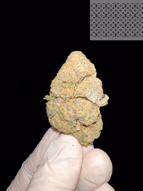 PERMANENT MARKER DOJA GENETICS