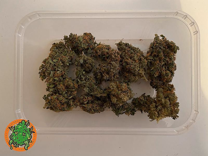 14g Bud Bars