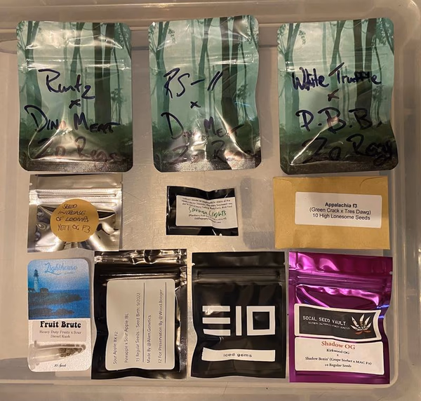 Boutique Breeder Packs
