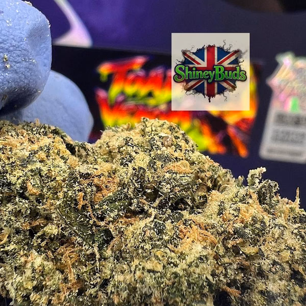 🇺🇸 Toad Venom (Antidote) Wizard Trees