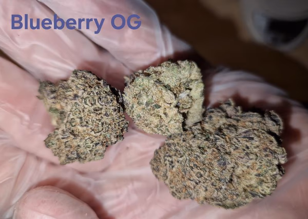 Make an oz for £160! ( Free T24 )