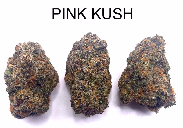 PINK KUSH