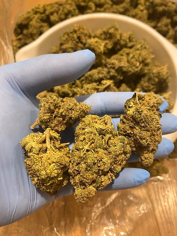 Britscotti 🇬🇧⛽️⛽️⛽️💨