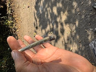 Review image 1