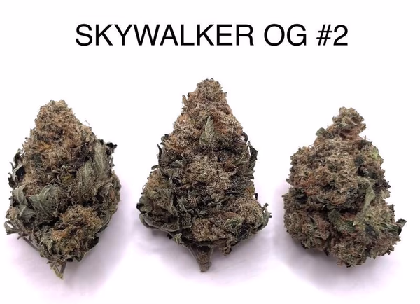 SKYWALKER OG 2