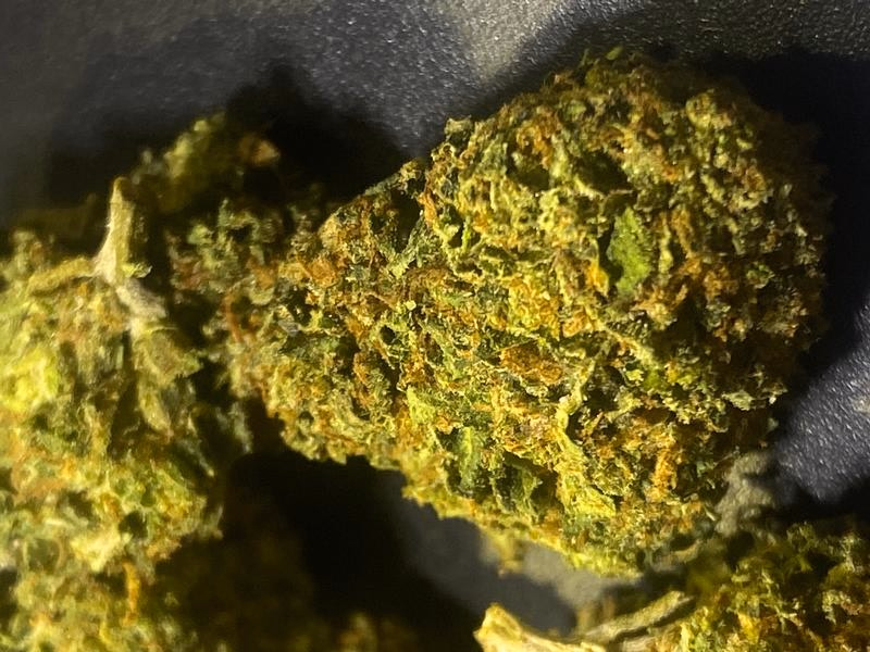 California Mids (FREE T24)