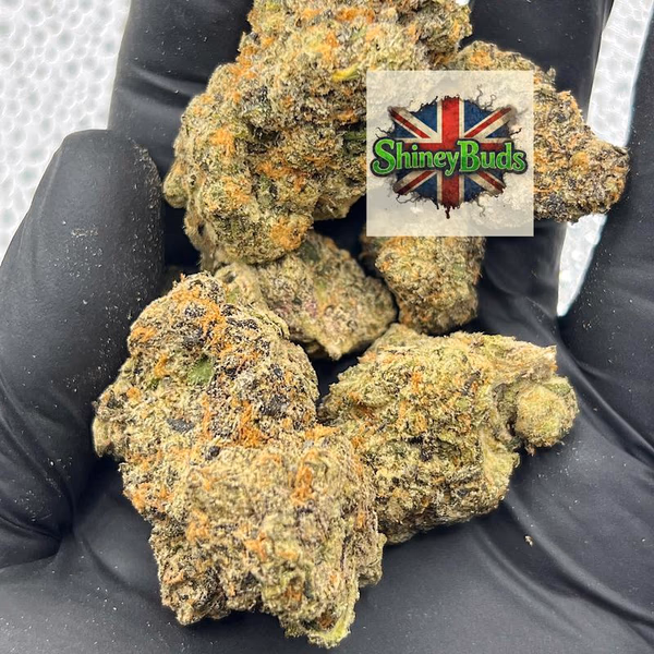 🇺🇸 Jack of Diamonds CONNECTED CANNABIS