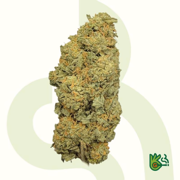 Biscotti *Free Shipping*