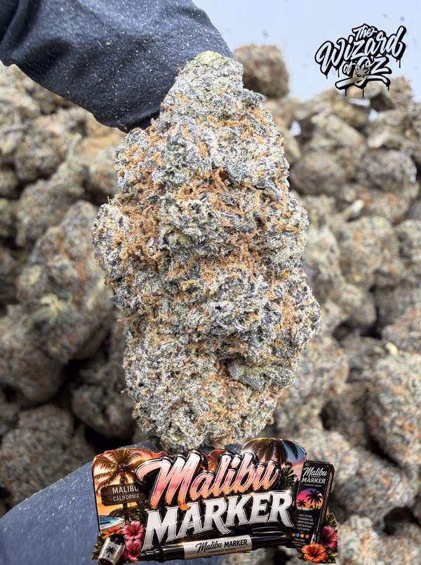 Malibu Marker — Flower