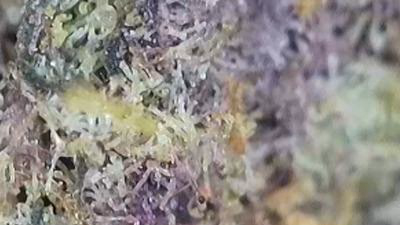 Review photo 3