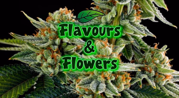 Flavours & Flowers — Flower