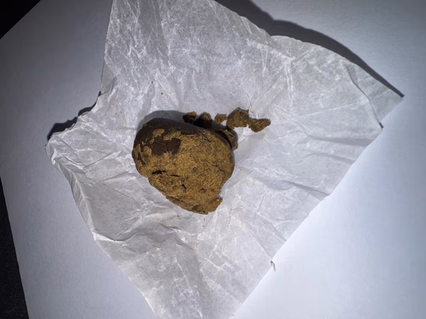 Zkittlez Frozen Egg alternativa