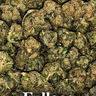 UK BUD'S