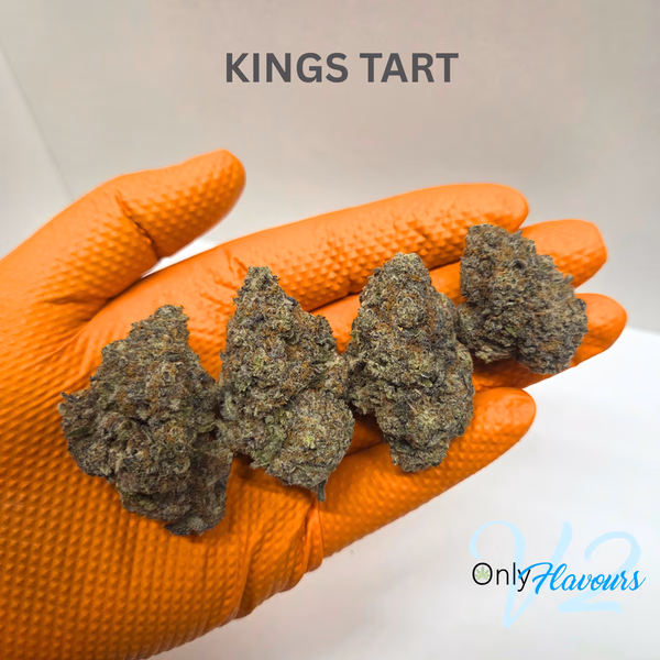 Kings Tart — Flower