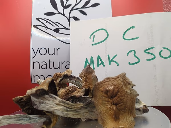 SHROOMS