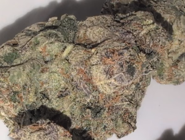 Z33 (Zkittlez x Gelato 33) UK TOP SHELF PREMIUM BUD