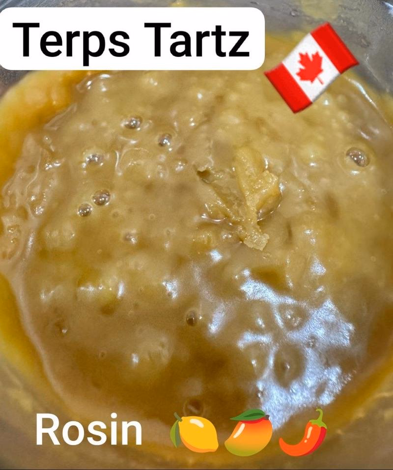 Hash Rosin - 4