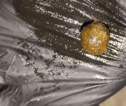 Hash listing