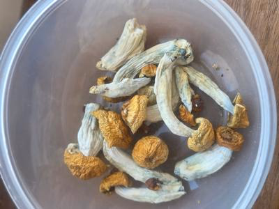 Review image 1