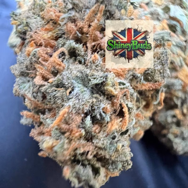 🇬🇧 Amnesia Haze