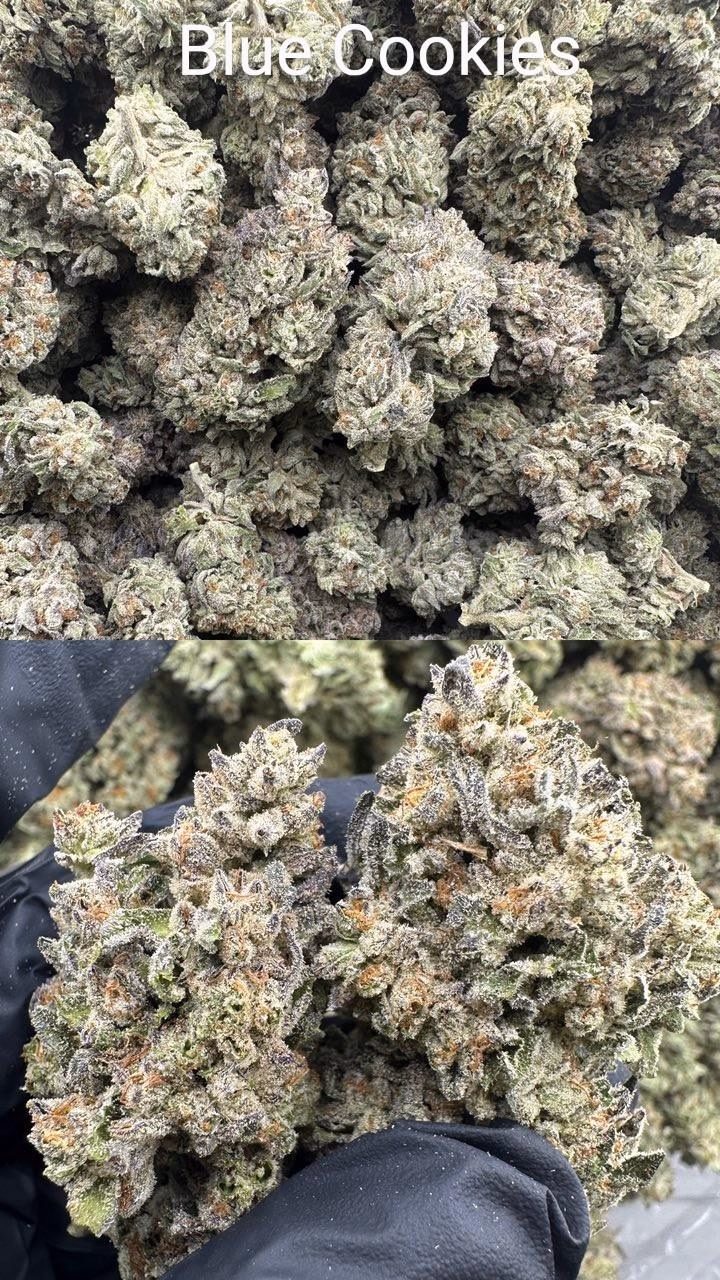 Cali Mids – Locker Import 🇺🇸