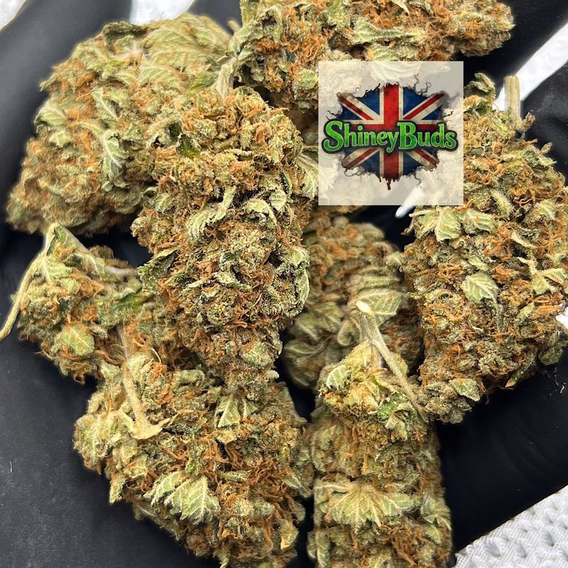 🇬🇧 Ztree 2