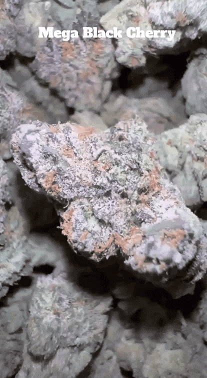 Top Shelf Exotics - Imported Loose Flower