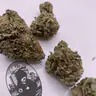 ***OG KUSH***