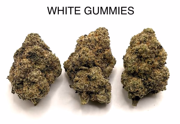 WHITE GUMMIEZ