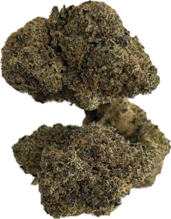 TOPSHELF Zangria
