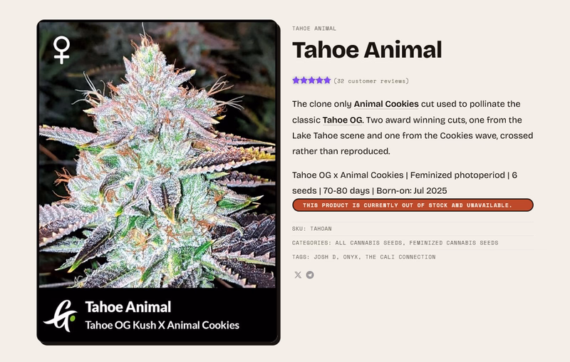 Greenpoint Seeds 4