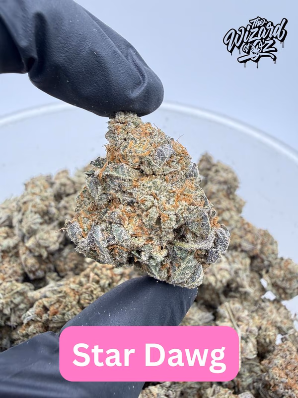 Star Dawg ⛽ 🌟 image