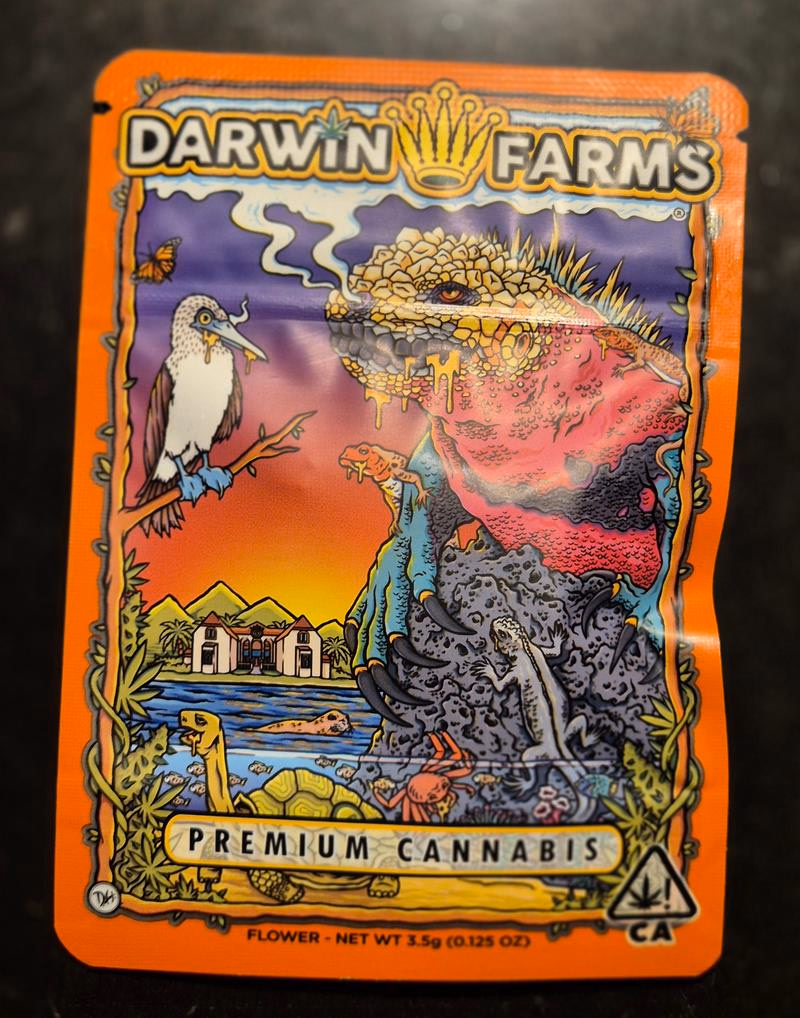Darwin Farms - Gelato 41