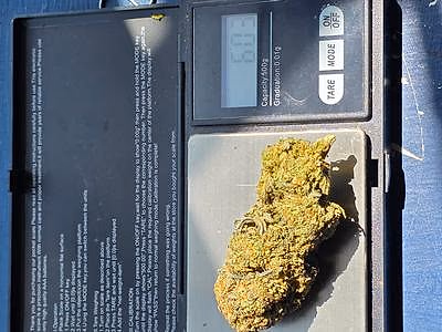 Review image 1