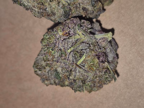 ZG13 AAA FLOWER
