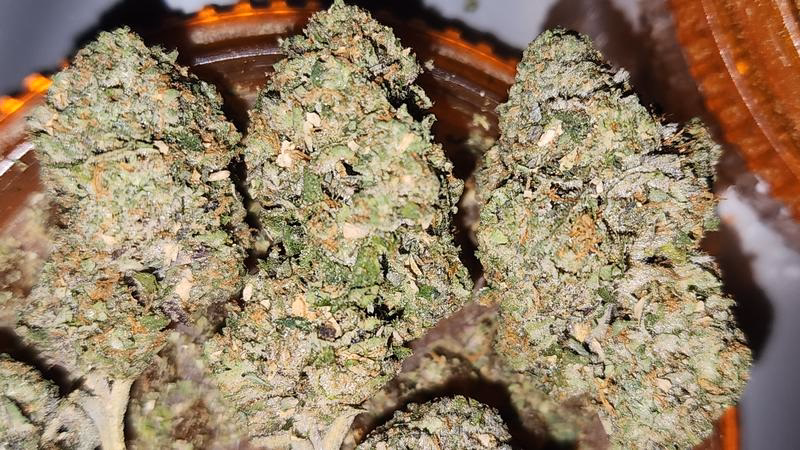 UK GROWN FLOWER 2