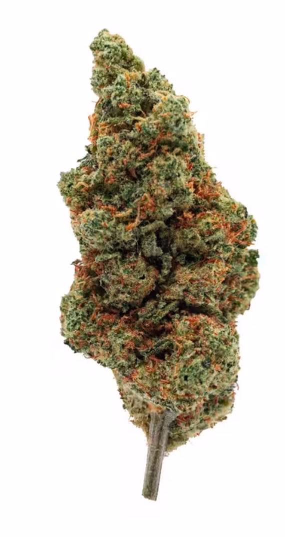 Amnesia | Premium Small-Batch Sativa | Citrus Haze Powe alternate