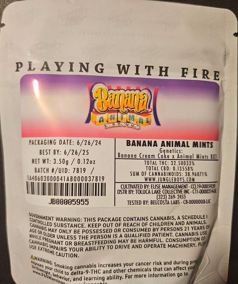 Jungle Boys Packs