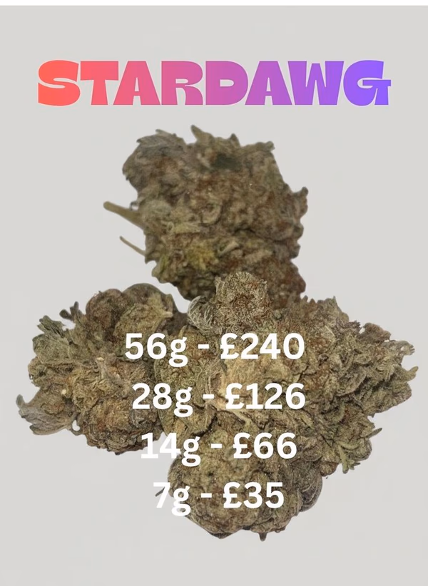 Stardawg