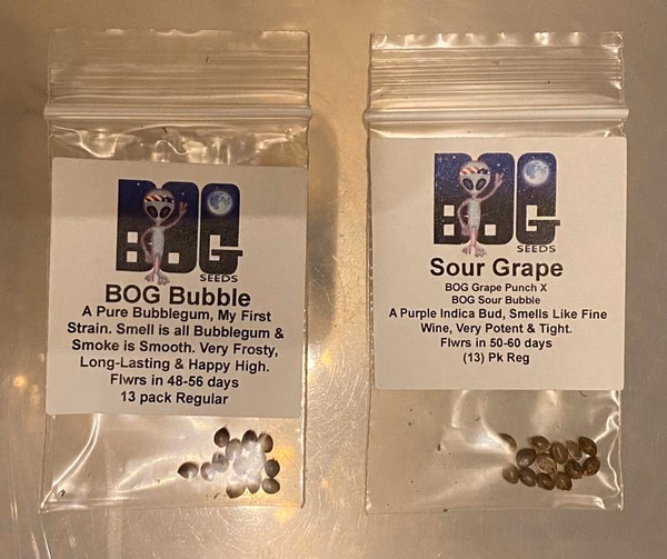 BOG Seeds / Bushy Old Grower