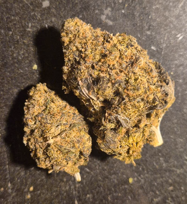 Bubblegum Gelato