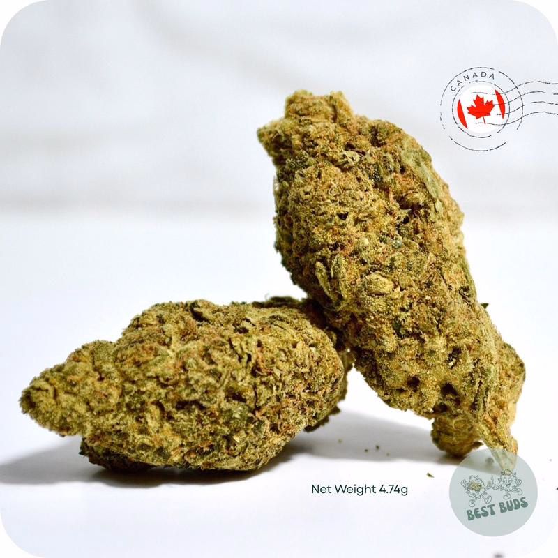 Imported Flower 6