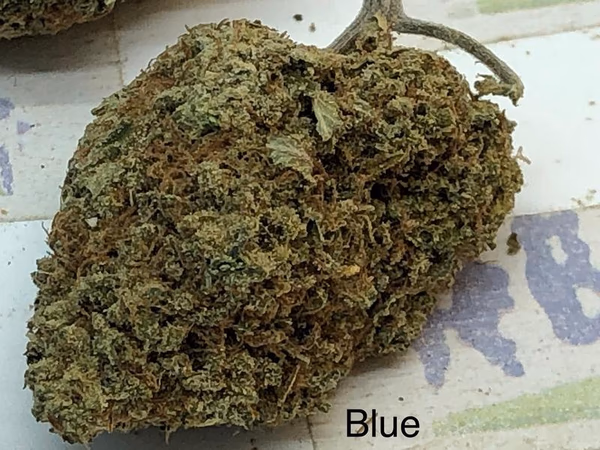 Blue Cheese A+